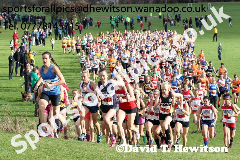 Senior womens Sherman Cup, Temple Park, South Shields. Photo: David T. Hewitson/Sports for All Pics